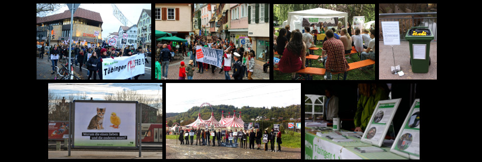 Jahresrückblick 2013