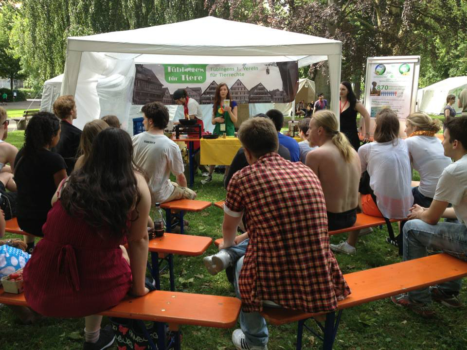 Ract!-Festival 2013 - ein Erfolg