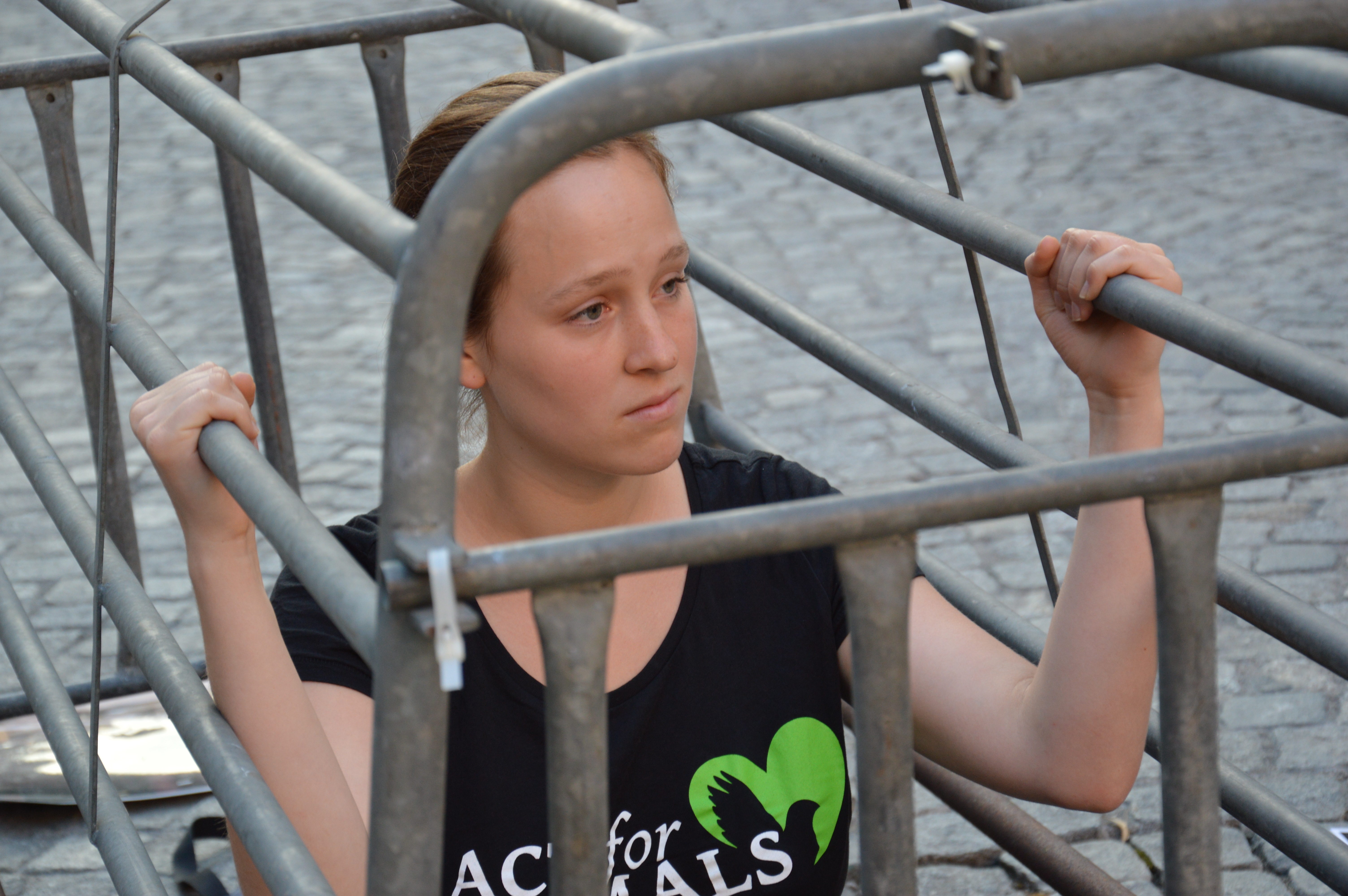 24 Stunden im Kastenstand