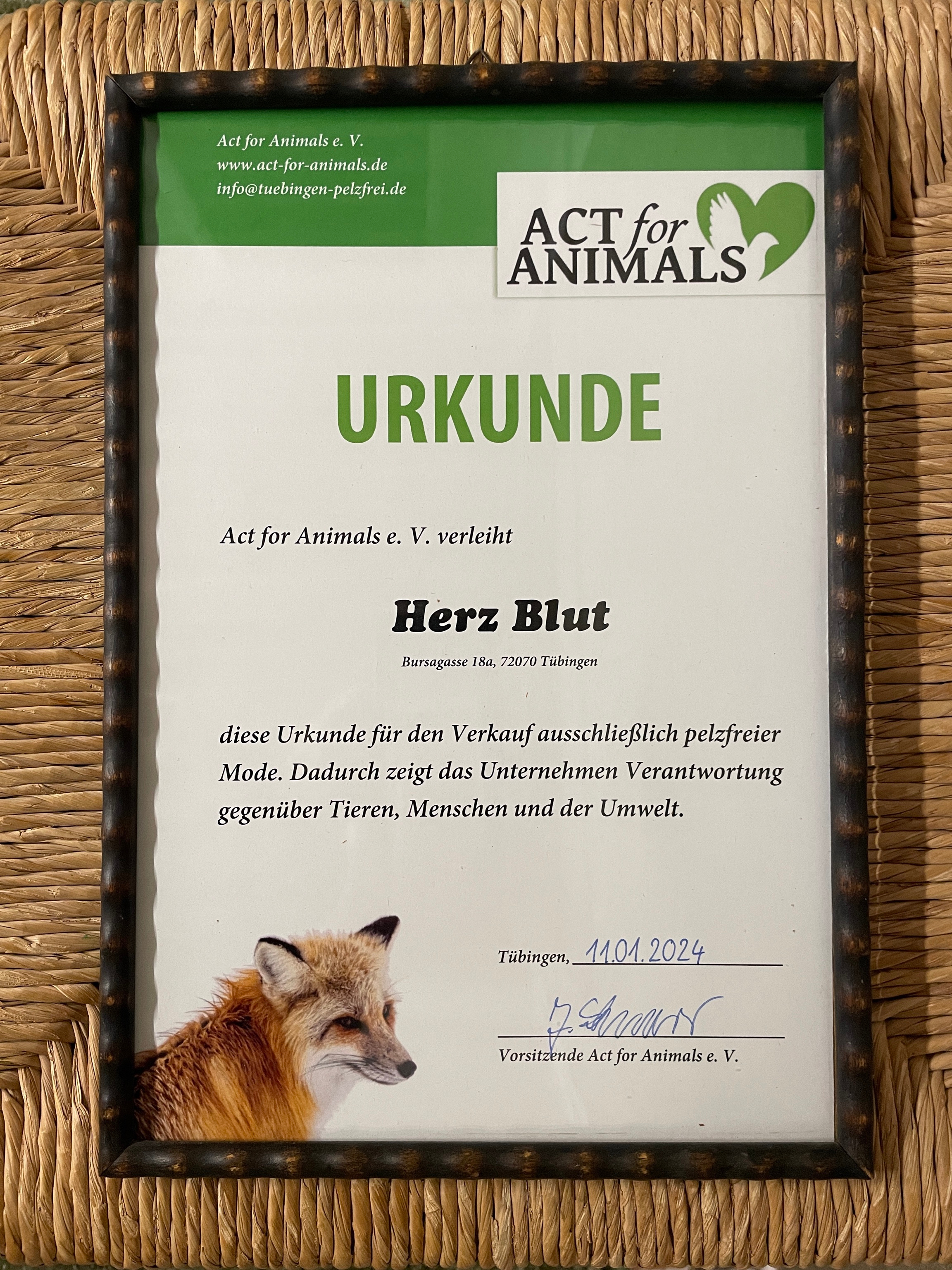 Pelzfreie Bekleidungs-<br />geschäfte in Tübingen ausgezeichnet