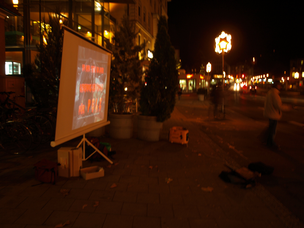Anti-Pelz-Aktion gegen Zinser vom 26. November 2011